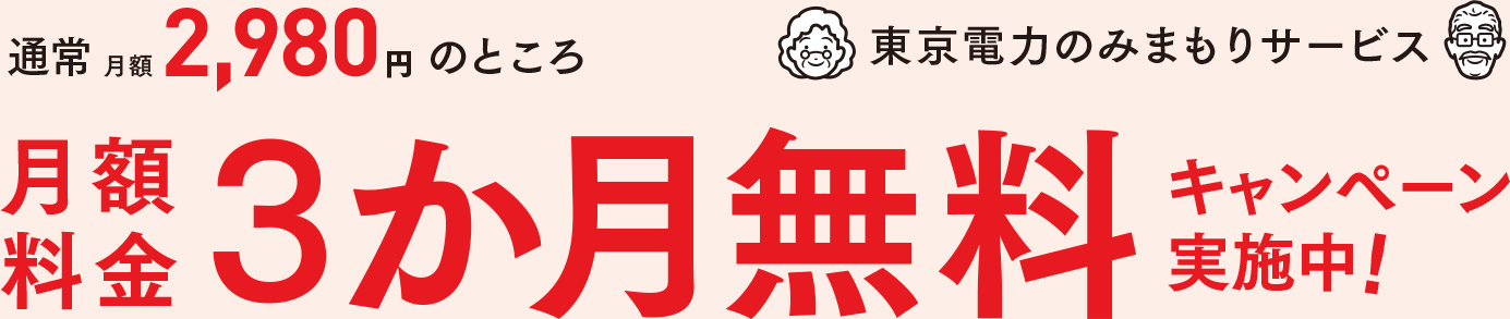 通常月額2,980円のところ月額料金3か月無料キャンペーン実施中!