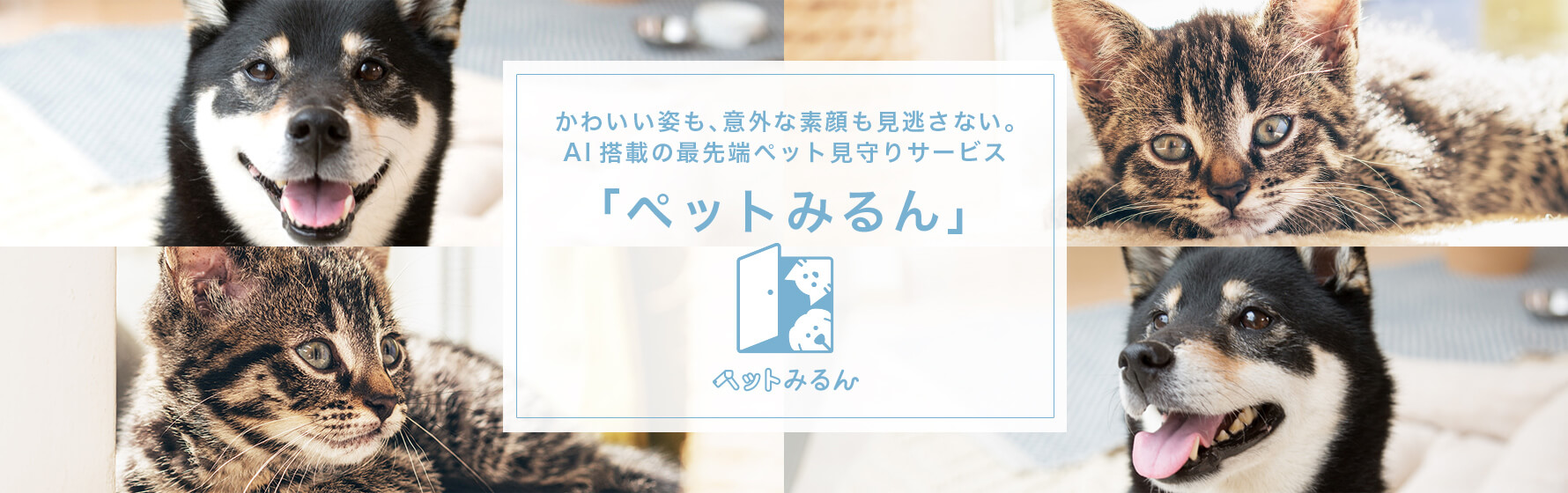 かわいい姿も、意外な素顔も見逃さない。AI搭載の最先端ペット見守りサービス「ペットみるん」